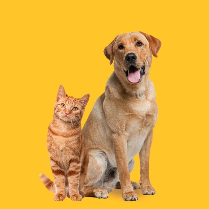 PETSHOP